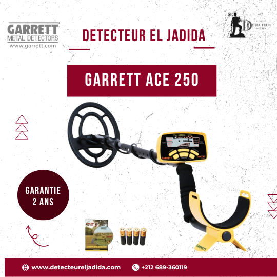 Garrett ACE 250